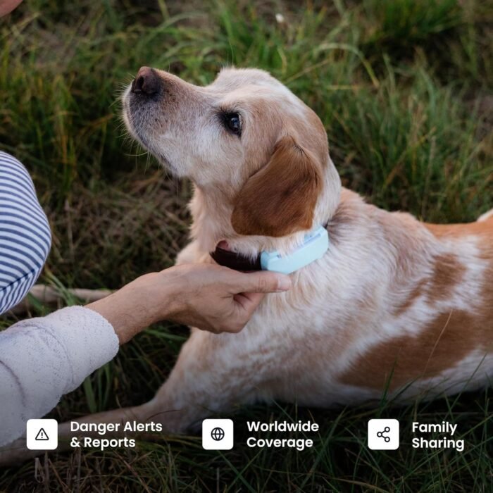 Tractive Smart Dog GPS Tracker | Live Pet Tracker with Virtual Fence | Vital Signs Monitoring of Heart & Respiratory Rate | Bark Monitoring | Dog Collar Attachment (Black) - Image 9