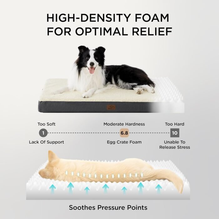 Bedsure Dog Beds Large Sized Dog - Orthopedic Flat Pet Beds with Removable Washable Cover, Egg Crate Foam Puppy Mat, Suitable for Pet Up to 65 lbs - Image 4