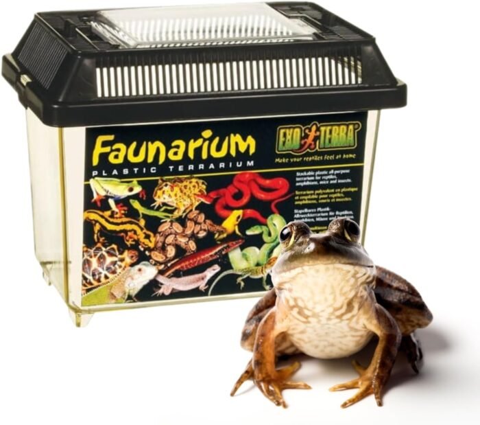 Exo Terra Faunarium, Plastic Reptile Terrarium, Small, PT2255 - Image 6
