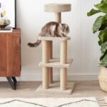 Amazon Basics Cat Tree - Indoor Cat & Kittens Multi-Level Climbing Activity Tower with Scratching Posts, Large (45.9"H) - Beige - Image 5