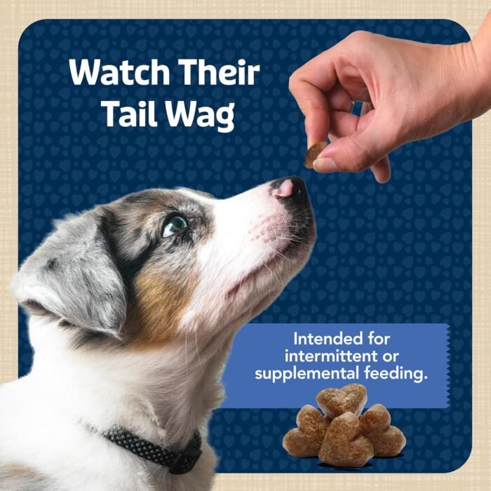 Blue Buffalo Bits Soft Dog Treats for Training, Made With Natural Ingredients & Enhanced with DHA, Chicken Recipe, 19-oz Bag - Image 9