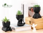 Der Rose 3pcs Fake Succulents Plants Artificial for Black Bathroom Bedroom Home Living Room Halloween Decor Aesthetic Indoor - Image 3