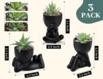 Der Rose 3pcs Fake Succulents Plants Artificial for Black Bathroom Bedroom Home Living Room Halloween Decor Aesthetic Indoor - Image 4