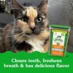 Greenies Feline Adult Dental Cat Treats, Oven Roasted Chicken Flavor, 9.75 oz. Tub - Image 4