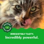Greenies Feline Adult Dental Cat Treats, Oven Roasted Chicken Flavor, 9.75 oz. Tub - Image 5