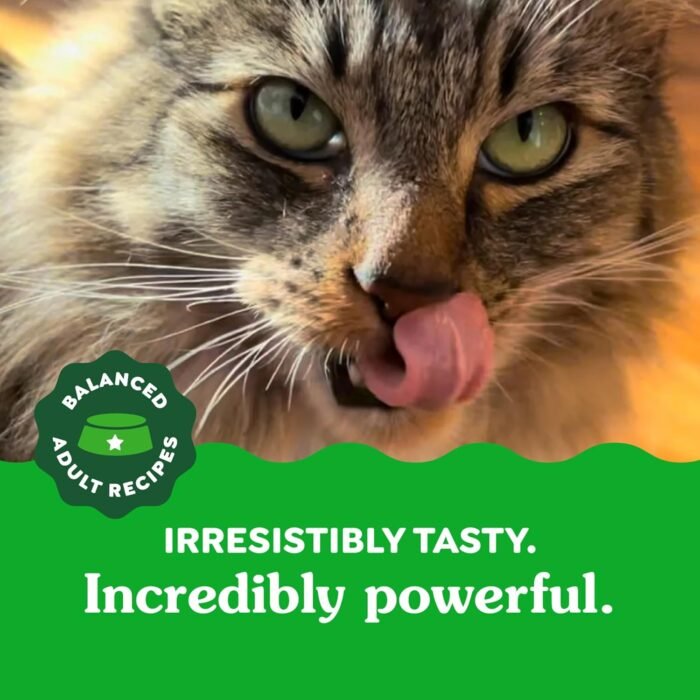 Greenies Feline Adult Dental Cat Treats, Oven Roasted Chicken Flavor, 9.75 oz. Tub - Image 13