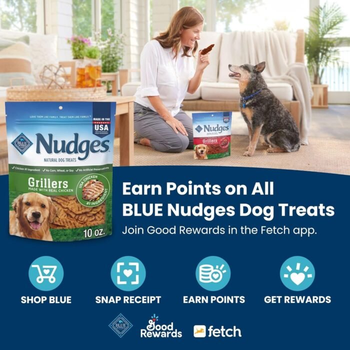 Blue Buffalo Nudges Jerky Cuts Natural Dog Treats Chicken - Image 4