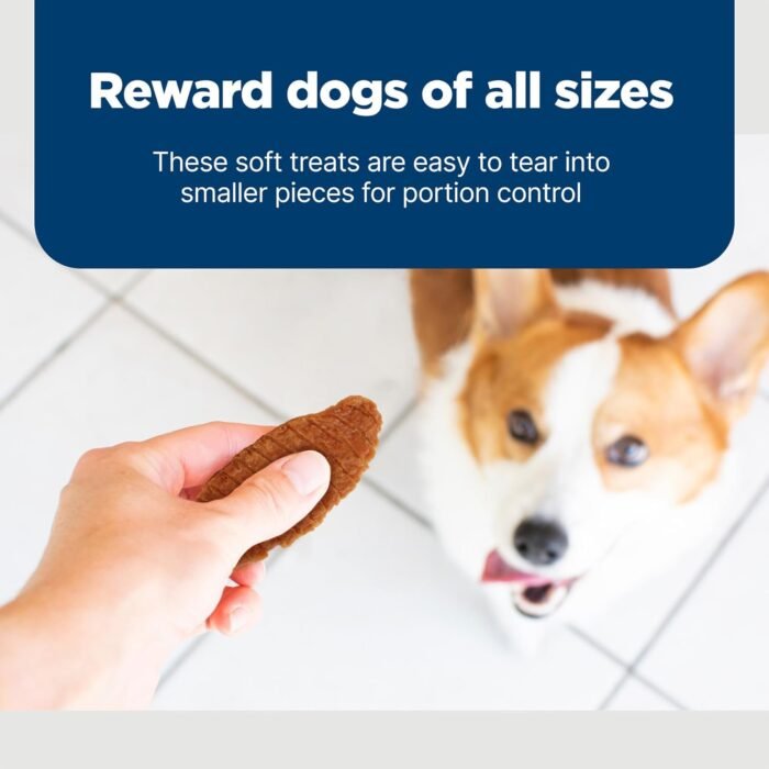 Blue Buffalo Nudges Jerky Cuts Natural Dog Treats Chicken - Image 5