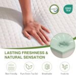 EGOHOME Full Size Memory Foam Mattress, 8 Inch Bed Mattress in A Box with Cooling Green Tea Gel, Pressure Relief with Medium Firm Support, CertiPUR-US Certified, 75''L x 54''W, ‎37.3 pounds White - Image 6
