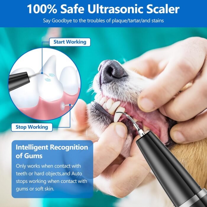 Dog Plaque Remover for Teeth,Pet Ultrasonic Tooth Cleaner,Teeth Cleaning Kit -Tartar Remover for Teeth Stains for Dogs and Cats (Black) - Image 3