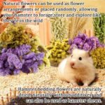 Sukh 42Pcs Herb Bedding Habitat Decor - Natural Flower Hamster Mate Herbs Sprays Cage Safe Pet Accessories Decorations Hideout for Hamsters Mouse Guinea Pig Dwarf Gerbils Syrian Mice - Image 5
