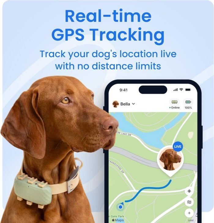 Tractive XL Smart Dog GPS Tracker | Live Pet Tracker with Virtual Fence | Vital Signs Monitoring of Heart & Respiratory Rate | Up to 1-Month Battery Life | Dog Collar Attachment (Green) - Image 3