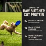 Vital Essentials Beef Liver Dog Treats, 2.1 oz | Freeze-Dried Raw | Single Ingredient | Premium Quality High Protein Training Treats | Grain Free, Gluten Free, Filler Free - Image 5