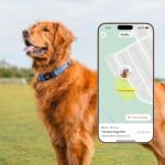 Fi New Series 3+ Smart Dog Tracker Collar – AI GPS for Dogs, Health & Behavior Monitor, Virtual Fence, Escape Alerts, Waterproof, Apple Watch Compatible 12Mo Membership Included - Image 3