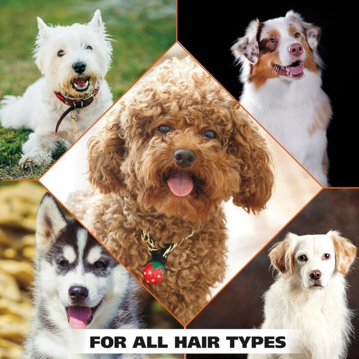 Wahl USA Dry Skin & Itch Relief Pet Shampoo for Dogs – Oatmeal Formula with Coconut Lime Verbena Scent & Pet Friendly Formula, 24 Oz - Model 820004A - Image 9