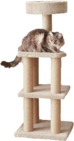 Amazon Basics Cat Tree - Indoor Cat & Kittens Multi-Level Climbing Activity Tower with Scratching Posts, Large (45.9"H) - Beige - Image 2