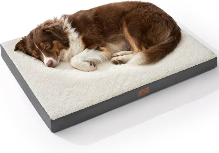 Bedsure Dog Beds Large Sized Dog - Orthopedic Flat Pet Beds with Removable Washable Cover, Egg Crate Foam Puppy Mat, Suitable for Pet Up to 65 lbs - Image 2