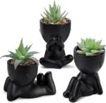 Der Rose 3pcs Fake Succulents Plants Artificial for Black Bathroom Bedroom Home Living Room Halloween Decor Aesthetic Indoor - Image 2