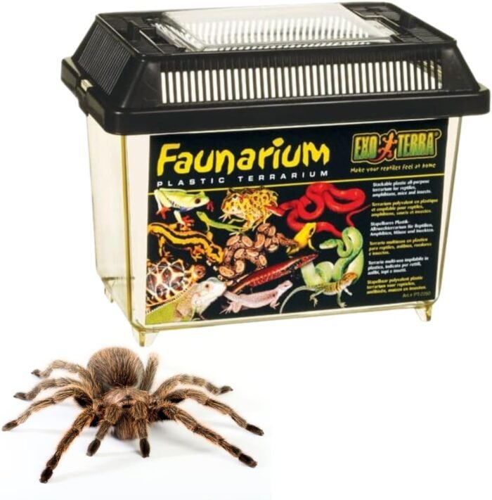 Exo Terra Faunarium, Plastic Reptile Terrarium, Small, PT2255 - Image 2
