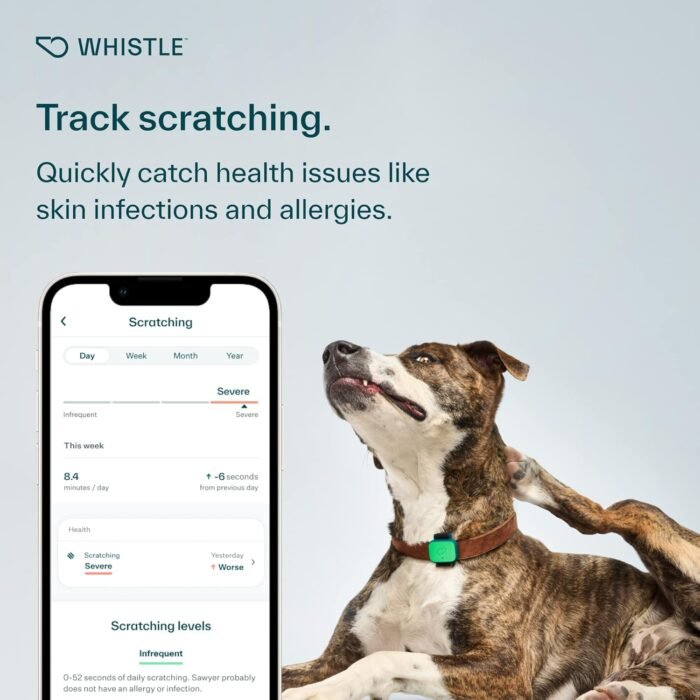 Whistle Health Smart Device | Dog Health and Fitness Tracker | Track Scratching, Licking, Drinking, Eating, Sleeping, and Activity, Green - Image 3