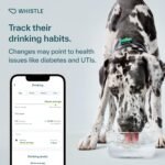 Whistle Health Smart Device | Dog Health and Fitness Tracker | Track Scratching, Licking, Drinking, Eating, Sleeping, and Activity, Green - Image 5