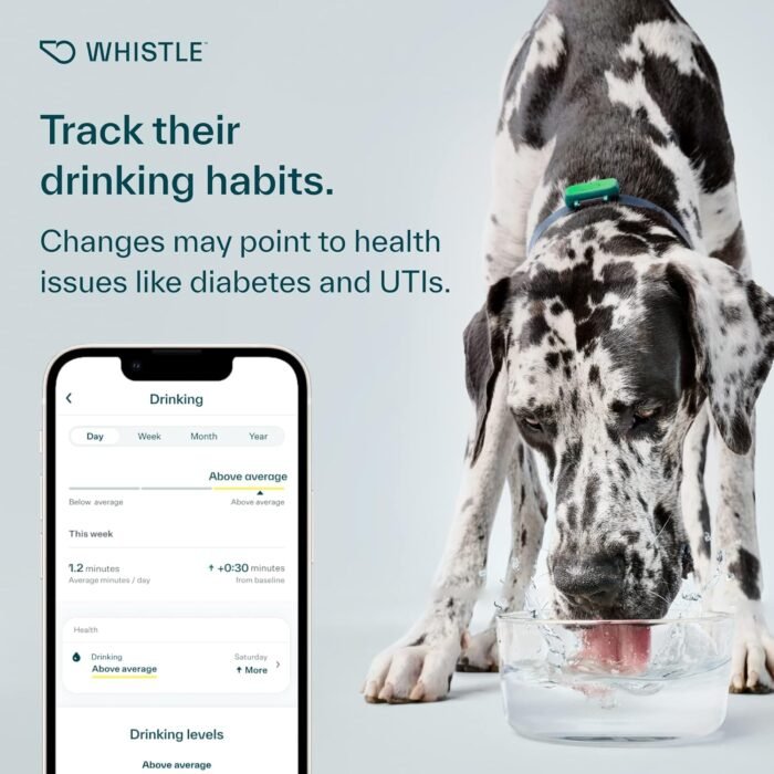 Whistle Health Smart Device | Dog Health and Fitness Tracker | Track Scratching, Licking, Drinking, Eating, Sleeping, and Activity, Green - Image 5