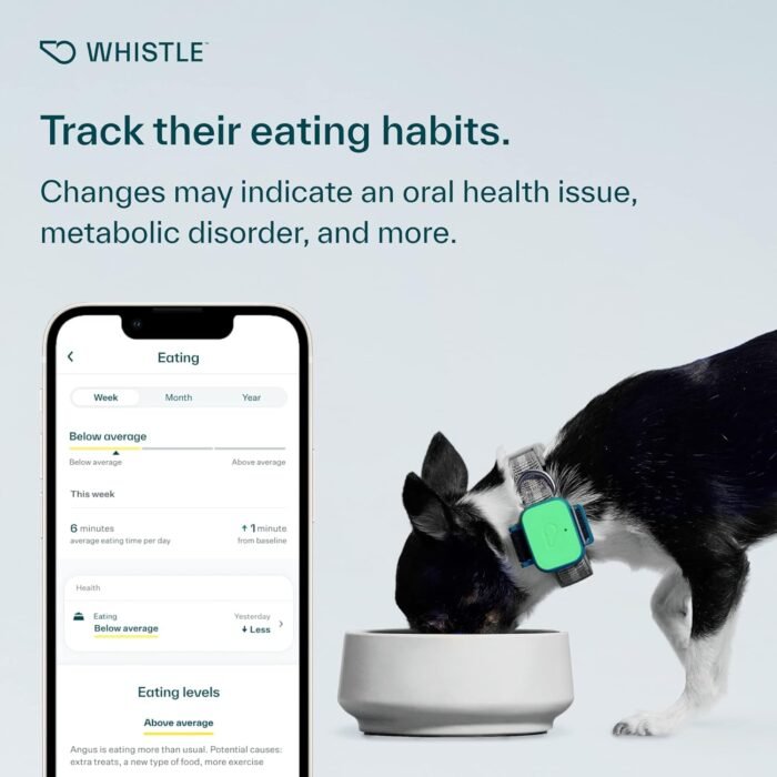 Whistle Health Smart Device | Dog Health and Fitness Tracker | Track Scratching, Licking, Drinking, Eating, Sleeping, and Activity, Green - Image 6
