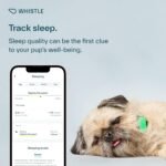 Whistle Health Smart Device | Dog Health and Fitness Tracker | Track Scratching, Licking, Drinking, Eating, Sleeping, and Activity, Green - Image 7