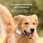 Petcube GPS Tracker for Dogs | Pet GPS Location Tracker with Escape Alerts and Virtual Fences, Activity and Wellness Monitoring, Glows in a Dark, Water and Dust Proof - Image 3