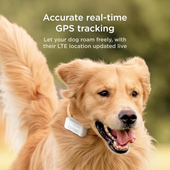 Petcube GPS Tracker for Dogs | Pet GPS Location Tracker with Escape Alerts and Virtual Fences, Activity and Wellness Monitoring, Glows in a Dark, Water and Dust Proof - Image 3