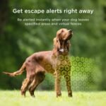 Petcube GPS Tracker for Dogs | Pet GPS Location Tracker with Escape Alerts and Virtual Fences, Activity and Wellness Monitoring, Glows in a Dark, Water and Dust Proof - Image 4