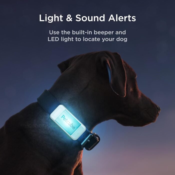 Petcube GPS Tracker for Dogs | Pet GPS Location Tracker with Escape Alerts and Virtual Fences, Activity and Wellness Monitoring, Glows in a Dark, Water and Dust Proof - Image 5
