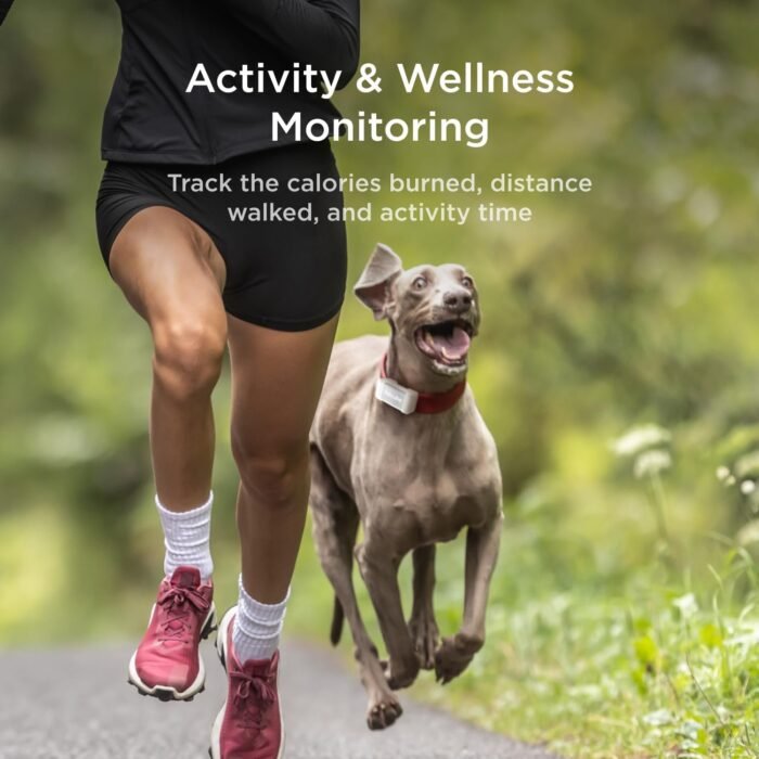 Petcube GPS Tracker for Dogs | Pet GPS Location Tracker with Escape Alerts and Virtual Fences, Activity and Wellness Monitoring, Glows in a Dark, Water and Dust Proof - Image 7