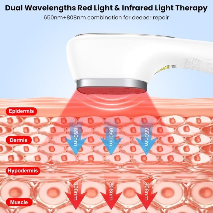 Cold Laser Therapy Device for Human & Pets–Handheld Red Light Therapy Devices with Stand, 6x808 nm + 12x650 nm, PW Pulsed Mode, Gentle Low-Level Laser Therapy for Pain Relief Muscle Recovery - Image 4