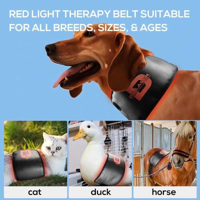 Red Light Therapy Belt for Pets, Portable Red Light Therapy for Dogs,Wearable Red Infrared Light Therapy Devices for Dogs Tissue Repair, Joint & Back Pain - Image 6