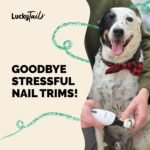 LuckyTail Pet Nail Grinder for Dogs and Cats - Super Quiet and Low Vibration Electric Dog Nail Grinder with 2 LED Lights - USB Rechargeable and Cordless - 2 Speeds - Small to Large Pets - Image 5