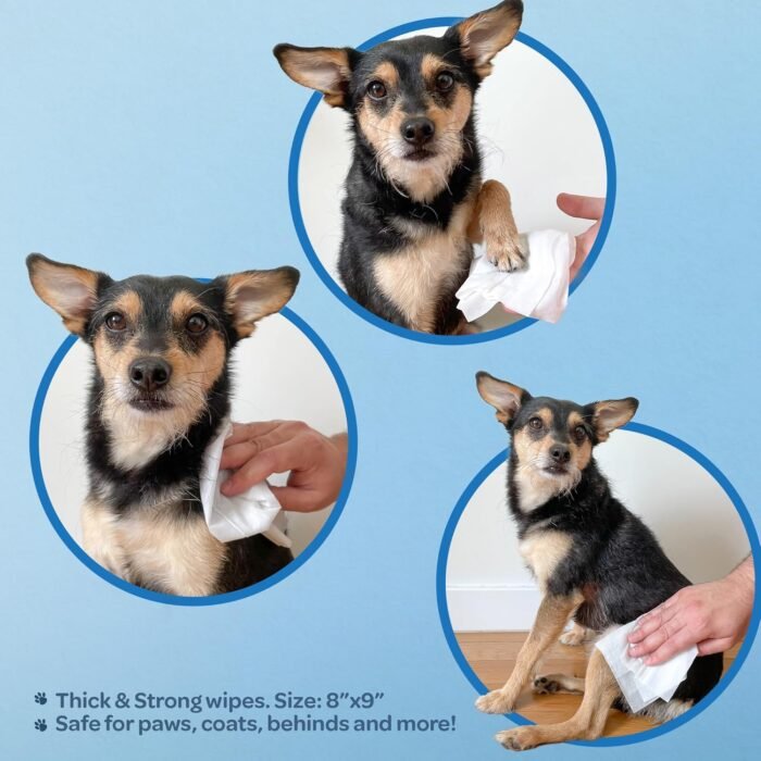 Best Pet Supplies Pet Wipes for Dogs - Dog Wipes Cleaning Deodorizing, for Coats, Ears, Paws - Calming Lavender, Aloe Vera, 100 Count - Image 4