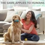 Red Light Therapy for Body, Near Infrared Light Therapy 660nm & 850nm, Suitable for Pets and People, Easy to Set up Portable Handheld Red Light - Image 5