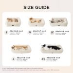Bedsure Cute Dog Bed for Small Medium Dogs - Washable Furry Puppy Beds, Rectangle Orthopedic Corduroy Fleece Pet Beds with Removable Zipper Cover, 25x21x7inches, Cream - Image 6