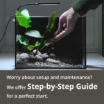 NICREW 2.5 Gallon Nano Nature Aquarium Kit, Ultra-Clear Rimless Desktop Fish Tank with Light, Filter, Gravel and Rock, Perfect for Small Fish, Shrimp, or Betta, Complete Version, Black - Image 5