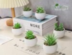 Der Rose Set of 6 Succulents Plants Artificial in Pots Small Fake Plants for Bedroom Aesthetic Living Room Shelf Bathroom Decor Office Desk Accessories - Image 4
