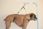 Downtown Pet Supply No Sit Haunch Holder for Dog Grooming Arm and Pet Grooming Table - Dog Grooming Supplies - Stainless Steel Hardware, Rust & Chew Resistant - 19 & 21in - Small/Medium (Haunch Only) - Image 3