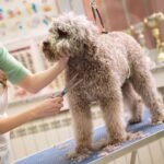 Downtown Pet Supply No Sit Haunch Holder for Dog Grooming Arm and Pet Grooming Table - Dog Grooming Supplies - Stainless Steel Hardware, Rust & Chew Resistant - 19 & 21in - Small/Medium (Haunch Only) - Image 5