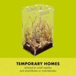 Zilla Micro Habitat Terrarium, Arboreal, with Locking Latch, for Isopods, Spiders, Insects, Small - Image 4
