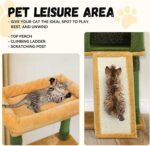 DWVO Cactus Cat Tree for Large Cats: 60" Tall with Self-Grooming Brush, Cute Kitten Climbing Tower for Indoor Kittens with Cat Condo, Top Perch, Basktet, Sisal Scratching Posts, Dangling Ball - Image 6