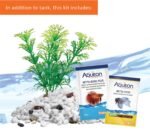 Aqueon Betta Puzzle Aquarium Fish Tank Kit, Blue, Half Gallon - Image 4