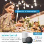 15A Outdoor Smart Plug, Heavy Duty Smart Home Wi-Fi Outlet Timer, Outlet with 2 Sockets, Wireless Remote Control, Compatible with Alexa & Google for String Light and Motors, 2.4 GHZ, Black - Image 3