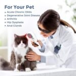 Red Light Therapy Device for Shoulder Back Knee Joint Muscle Pain Relief, 13pcs x 650nm + 3pcs x 808nm, 4 Power + 4 Timer, Handheld Cold Laser Therapy Device for Dogs Pet Horse - Image 7