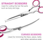 5 in1 Dog Grooming Scissors Kit, Professional Dog Scissors for Grooming with Safety Round Tips, Titanium Coated Grooming Shears for Dogs Cat Pet At Home - Image 4