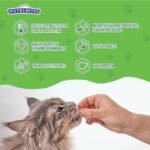Nutri Bites Freeze Dried Beef Liver Dog & Cat Treats | Healthy Pet Training Treats or Food Topper | All Natural, Single Ingredient, High Protein | Premium Bulk Value Pack, 17.6 oz - Image 6